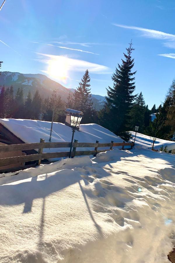 Appartementhaus Hochkoenig - Panoramablick Мюльбах Экстерьер фото